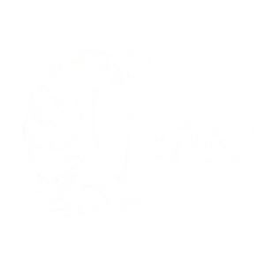 logo-collins
